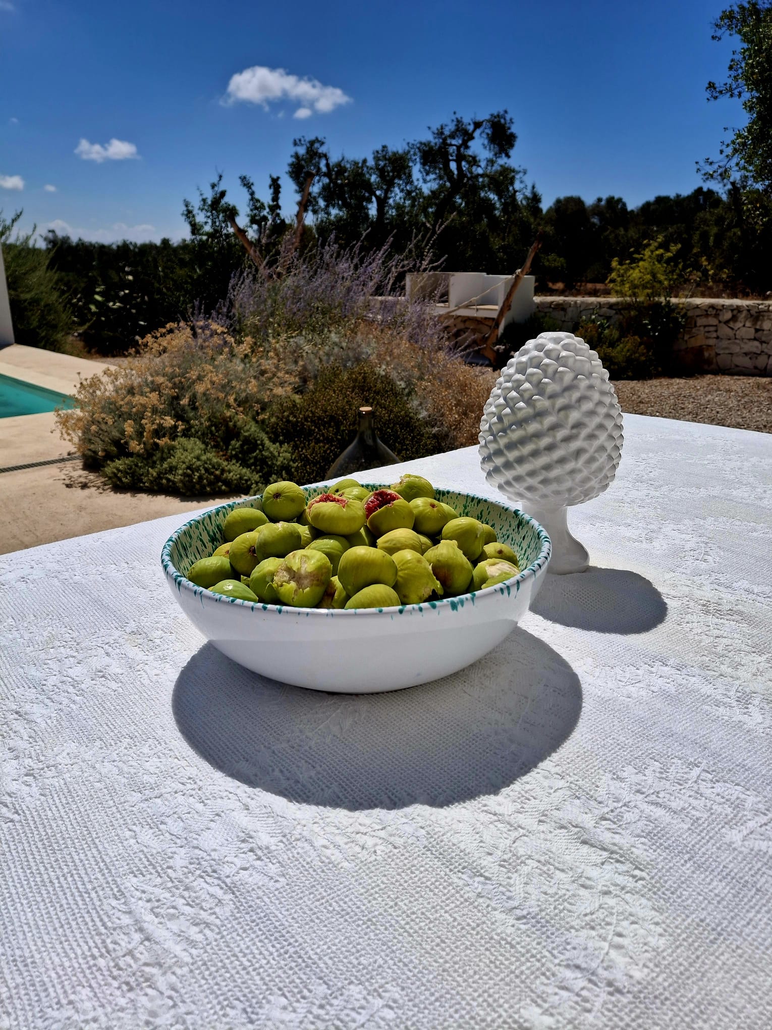 Extérieurs & Piscine