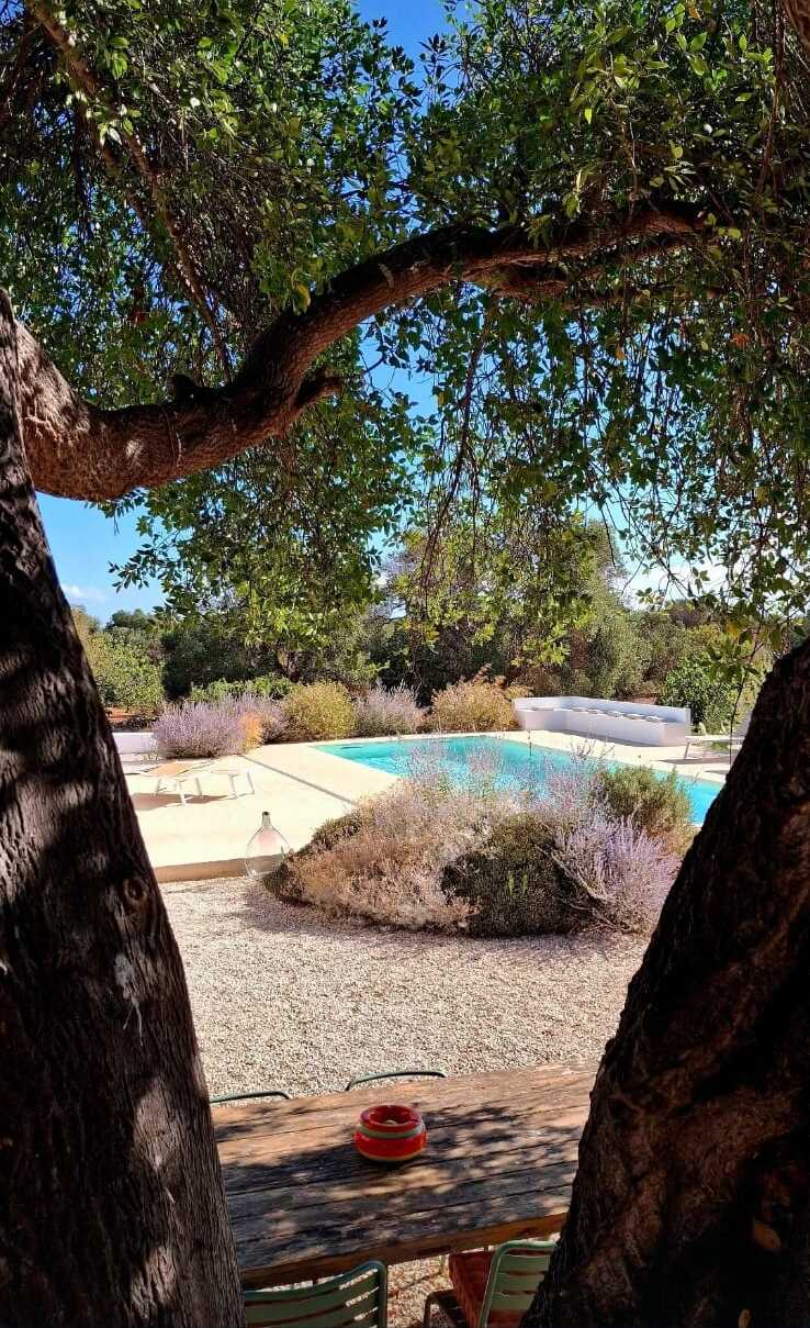 Extérieurs & Piscine