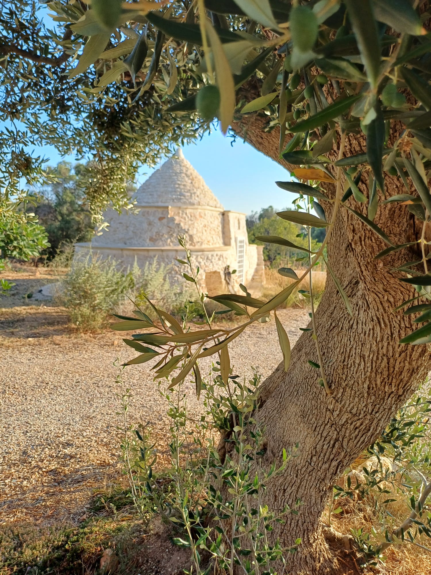 Trullo exterior